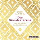 Dalai Lama, Dalai Lama XIV., Tenzi Gyatso, Tenzin Gyatso, Dalai Lama, Peter Kaempfe - Der Sinn des Lebens, 2 Audio-CD (Audiolibro)