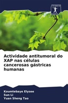 Koumtebaye Elysee, Sun Li, Yuan Sheng Tao - Actividade antitumoral do XAP nas células cancerosas gástricas humanas
