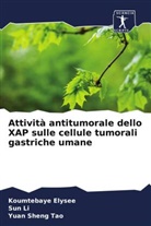 Koumtebay Elysee, Koumtebaye Elysee, Su Li, Sun Li, Yuan Sheng Tao - Attività antitumorale dello XAP sulle cellule tumorali gastriche umane