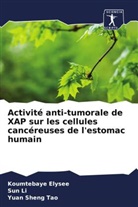 Koumtebay Elysee, Koumtebaye Elysee, Su Li, Sun Li, Yuan Sheng Tao - Activité anti-tumorale de XAP sur les cellules cancéreuses de l'estomac humain