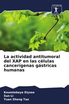 Koumtebay Elysee, Koumtebaye Elysee, Su Li, Sun Li, Yuan Sheng Tao - La actividad antitumoral del XAP en las células cancerígenas gástricas humanas