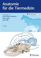 Han Geyer, Hans Geyer, Uwe Gille, Franz-Viktor Salomon - Anatomie für die Tiermedizin