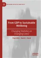 Pau Allin, Paul Allin, David J Hand, David J. Hand - From GDP to Sustainable Wellbeing