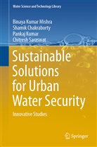 Shami Chakraborty, Shamik Chakraborty, Pa Kumar, Pankaj Kumar, Binaya Kuma Mishra, Binaya Kumar Mishra... - Sustainable Solutions for Urban Water Security
