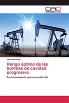 Jesus Manrique - Rango optimo de las bombas de cavidad progresiva