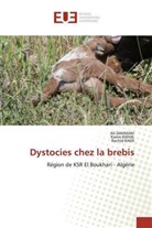 Al Dahmani, Ali Dahmani, Rachid Kaidi, Kari RAHAL, Karim RAHAL - Dystocies chez la brebis