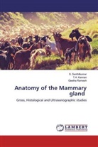 T Kannan, T A Kannan, T. A. Kannan, T.A. Kannan, Geetha Ramesh, Senthilkumar... - Anatomy of the Mammary gland