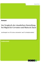 anonym, Anonymous - Der Vergleich der räumlichen Darstellung bei Miguel de Cervantes und María de Zayas