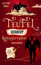 Allyson Snow - Teufel gesucht, Katastrophe vorhanden