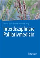 Demmer, Demmer, Thomas Demmer, Marti Gross, Martin Gross - Interdisziplinäre Palliativmedizin