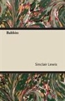 Sinclair Lewis - Babbitt