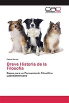 Pedro Bernui - Breve Historia de la Filosofía