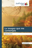Ricardo Gil Otaiza - La imagen que me contempla