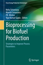 Vijai Kumar Gupta, P K Mishra et al, P. K. Mishra, Manis Srivastava, Manish Srivastava, Neha Srivastava - Bioprocessing for Biofuel Production