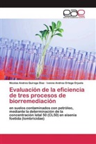 Ivonn Ortega Orjuela, Ivonne Andrea Ortega Orjuela, Nicolas Andre Quiroga Diaz, Nicolas Andres Quiroga Diaz - Evaluación de la eficiencia de tres procesos de biorremediación