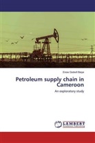 Enow Godwill Baiye - Petroleum supply chain in Cameroon