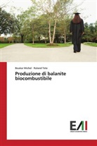 Bouka Michel, Boukar Michel, Roland Tete - Produzione di balanite biocombustibile