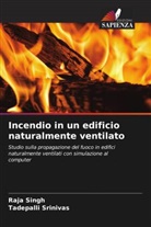 Raj Singh, Raja Singh, Tadepalli Srinivas - Incendio in un edificio naturalmente ventilato