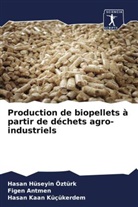 Fige Antmen, Figen Antmen, Hasa Hüseyin Öztürk, Hasan Hüseyin Öztürk, Kaan Küçükerde, Hasan Kaan Küçükerdem - Production de biopellets à partir de déchets agro-industriels