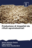 Fige Antmen, Figen Antmen, Hasa Hüseyin Öztürk, Hasan Hüseyin Öztürk, Kaan Küçükerde, Hasan Kaan Küçükerdem - Produzione di biopellet da rifiuti agroindustriali