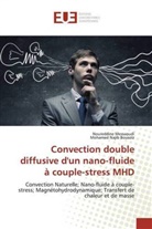 Mohamed Najib Bouaziz, Noureddin Messaoudi, Noureddine Messaoudi - Convection double diffusive d'un nano-fluide à couple-stress MHD