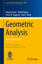 Ailan Fraser, Ailana Fraser, Andr Neves, André Neves, Peter M et al Topping, Peter M. Topping... - Geometric Analysis