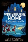 Ally Carter - Winterborne Home for Vengeance and Valor