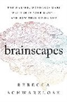 Rebecca Schwarzlose - Brainscapes
