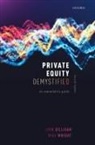 Oxford Editor, John Gilligan, John (Director of the Oxford Said Financ Gilligan, John (Director of the Oxford Said Finance Lab Gilligan, Michael Wright, Mike Wright... - Private Equity Demystified
