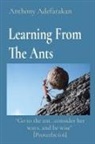 Anthony Adefarakan, Anthony Adefarakan - Learning From The Ants