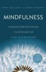 Danny Penman, Mark Williams - Mindfulness