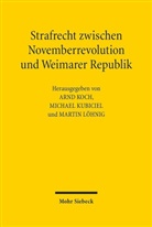 Arnd Koch, Michae Kubiciel, Michael Kubiciel, Martin Löhnig - Strafrecht zwischen Novemberrevolution und Weimarer Republik