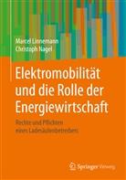 Marce Linnemann, Marcel Linnemann, Christoph Nagel - Elektromobilität und die Rolle der Energiewirtschaft