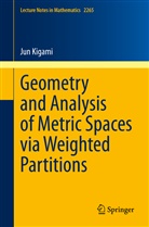 Jun Kigami - Geometry and Analysis of Metric Spaces via Weighted Partitions