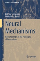 Fabrizi Calzavarini, Fabrizio Calzavarini, VIOLA, Viola, Marco Viola - Neural Mechanisms