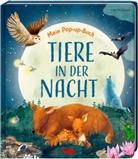 Becky Davies, Lara Paulussen, Imk Storch, Imke Storch - Mein Pop-up-Buch - Tiere in der Nacht