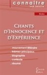 William Blake - Fiche de lecture Chants d'Innocence et d'Expérience (analyse littéraire de référence et résumé complet)
