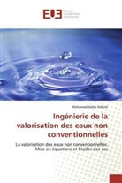 Mohamed Habib Sellami - Ingénierie de la valorisation des eaux non conventionnelles