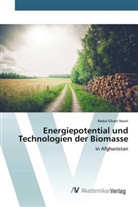 Abdul Ghani Noori - Energiepotential und Technologien der Biomasse