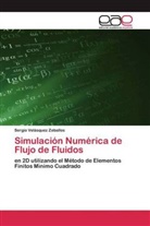 Sergio Velásquez Zeballos - Simulación Numérica de Flujo de Fluidos