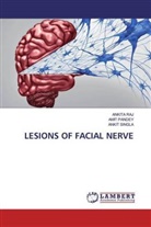 Ami Pandey, Amit Pandey, Ankit Raj, Ankita Raj, Ankit Singla - LESIONS OF FACIAL NERVE