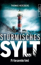 Thomas Herzberg - Stürmisches Sylt