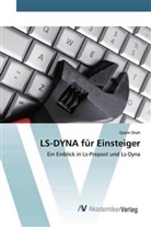 Qasim Shah - LS-DYNA für Einsteiger