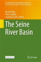 Nicolas Flipo, Pierr Labadie, Pierre Labadie, Laurence Lestel - The Seine River Basin