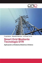 Sebastiá Martínez, Sebastián Martínez, Fred Muñoz, Fredy Muñoz, Fernando Torres - Smart Grid Mediante Tecnología DTR