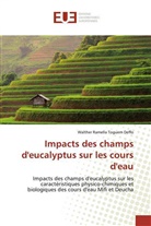 Walther Ramella Toguem Deffo - Impacts des champs d'eucalyptus sur les cours d'eau