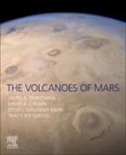 Jacob E. Bleacher, Jacob E. (Research Geophysicist Bleacher, David A. Crown, David A. (Senior Scientist Crown, David A. Crown, W.Brent (Research Geophysicist Garry... - The Volcanoes of Mars