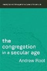 Andrew Root - The Congregation in a Secular Age