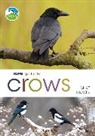 Mike Unwin, Unwin Mike - RSPB Spotlight Crows