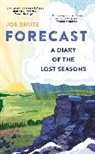 Joe Shute - Forecast